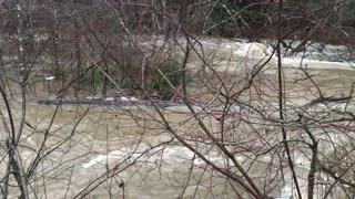Flooded Creek!