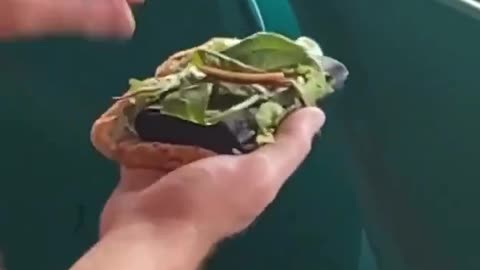 Best Kind Of Sandwich