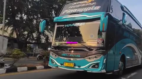 Bus Indonesia