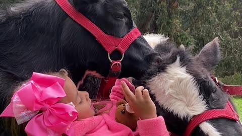 A Girl Sings To Her Cow Friends