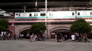 Typhoon approaches Tokyo, disrupts transport during peak season