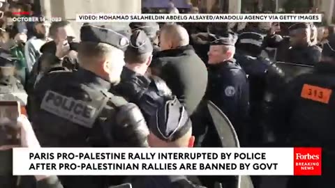 Paris Pro-Palestinian Rally Interrupted By Police After Pro-Palestinian Rallies Banned By Government