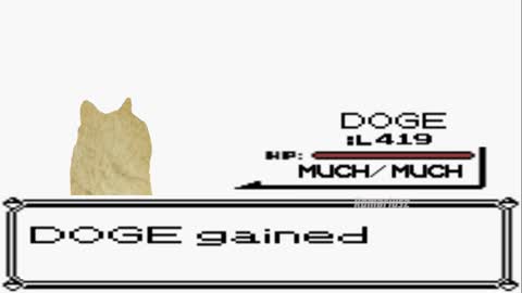 What_! Doge is evolving into Doge 2!