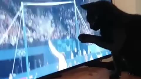 Cat ends a Canadian gymnastics Olympic career in one grab