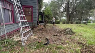 [2023-08-15] MOTHER NATURE tried to TAKE this HOUSE AWAY FROM THIS FAMILY!!!