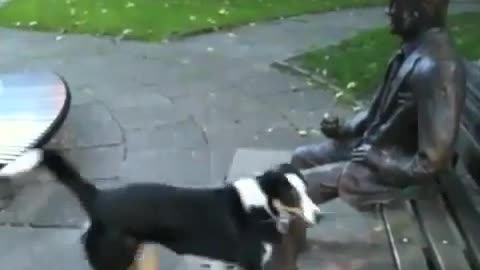 Dog Wants To Play With Male Statue - Very Funny