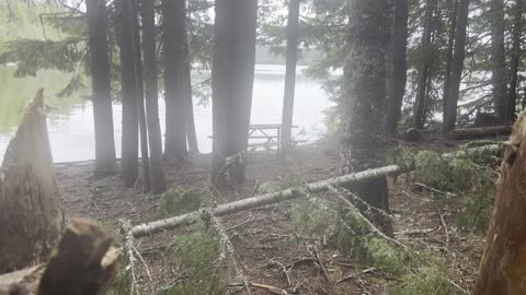 CRAZY Campsite with MINI-FORTRESS! – Backcountry Site #1, Meditation Point – Timothy Lake – 4K