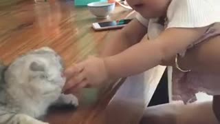 baby speaking meow with cat