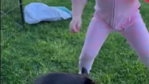 Young girl and an orphaned wombat are out enjoying some sunshine