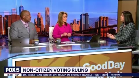 The Courts Agreed with Us: Only American Citizens can vote!
