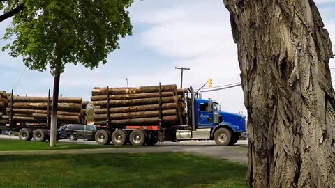 B.C. LOGGING TRUCKS #35 — Kenworth T800 & W900 Logging Trucks Hauling Through The City