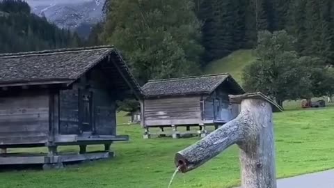 Dog water break in switzerland