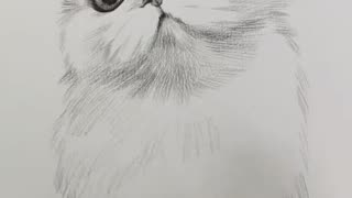 Amazing Pencil Drawing 3D Art Satisfying Cute Cat