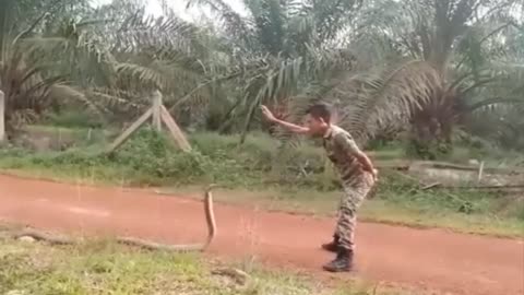 COMMANDO Teaches , How to catch KING COBRA