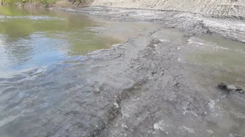 North Texas River Fossil Hunt - Bones