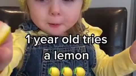 Girl 1 Year Old Tries A Lemon