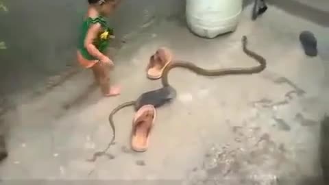 Fearless child👨 playing with snake🐍