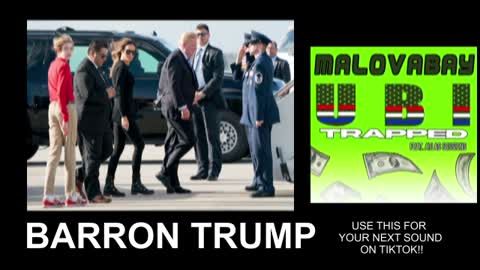 Barron Trump Glitched Photos