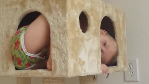 Toddler Boy Stuck In Cat Tower