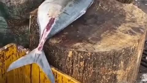 Amazing Cutting Skills Giant Carp Fish Cutting In a Fish Market shorts