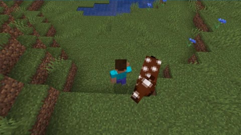 Minecraft 1.17.1_Shorts Modded 2nd time_Outting_66