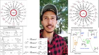 Organic Chemistry I: The Highs, The Lows-- and More Lows...But Overall High?