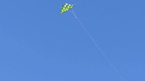 Kite flying in the air