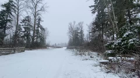 Relaxing on Snowing day in Surrey British Columbia Canada