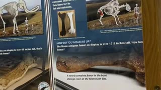 South Dakota Mammoth site