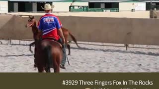 Meet WSFF's Three Fingers Fox in the Rocks