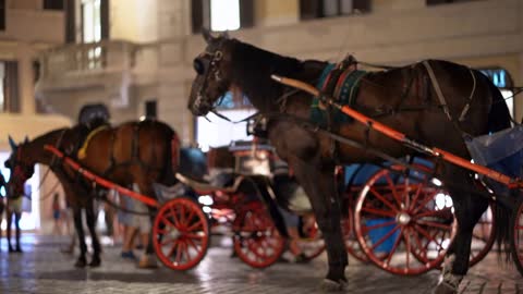 Carriages with horses in Piazza di Spagna, Rome, Italy