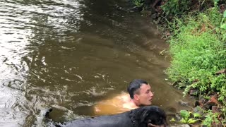 Doggy Rescues Struggling Swimmer