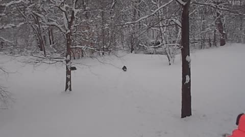 2013 Spring Break Blizzard