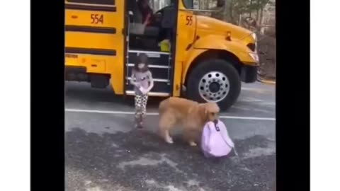 Doh helps carry lil girsl backpack after school 🥰