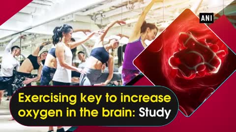 Exercising key to increase oxygen in the brain : study