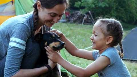 Mother and daughter is gently stroking mongrel dog at campfire. People and animal friendship concept