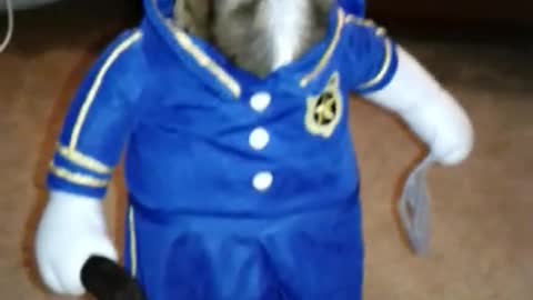 Dapper Dog Looks Hilarious In His New Cop Costume