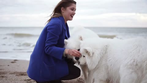 Slowmotion shot of attractive young woman plays with two dogs of the Samoyed breed by the sea