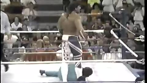 WWF Primetime Wrestling - Nov 04 1991