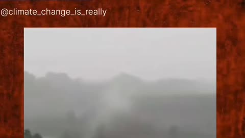 France 😳Tree was blown to dust by lightning ⚡🤯