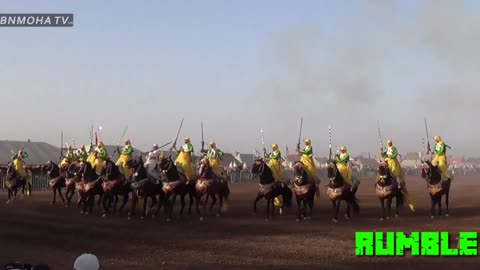Horses of Morocco traditions