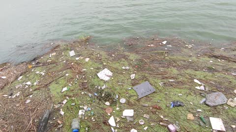 garbage on the sea