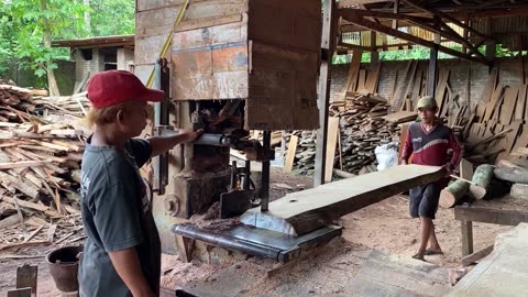 Super Big Size Teak Wood Indonesian ! The process of sawing dry teak tpk from Bojonegoro
