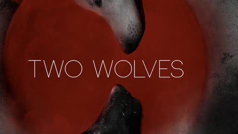 Two Wolves - Chaos and Order
