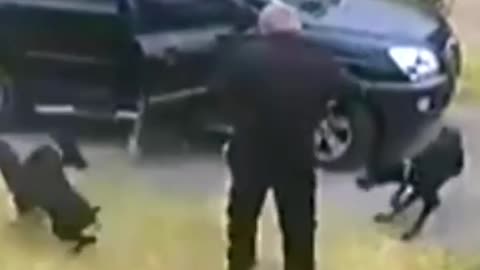 Doberman Saves Grandpa From Robbers