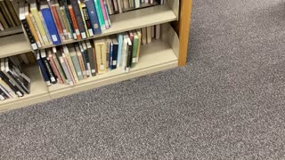 Library snake