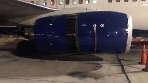 Boeing 737 Thrust Reverser