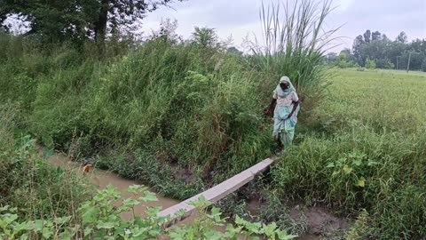 उत्तर प्रदेश का ग्रामीण जीवन दैनिक दिनचर्या भारत में गरीबों जैसा जीवन ग्रामीण जीवन आदि मानव