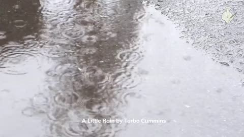 A Little Rain by Turbo Cummins