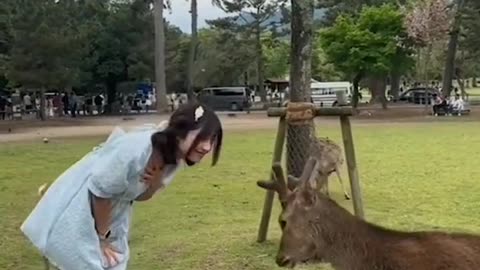 Didn't expected that#funnyanimals #funnymemes #japan